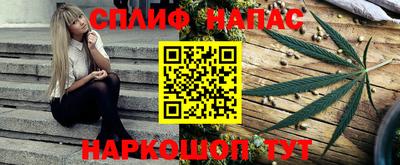 гидра Кингисепп