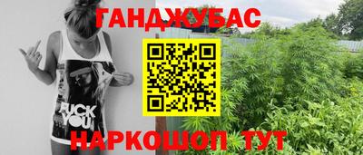 гидра Кингисепп