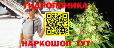 гидра Кингисепп