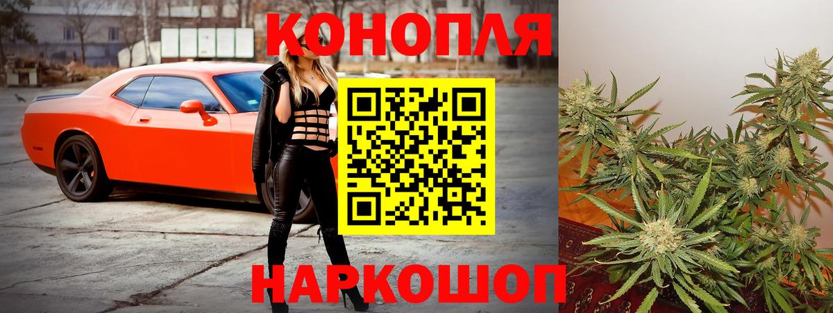 Кудрово  Марихуана White Widow  Вход с VPN  Шишки марихуана гибрид 